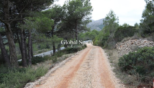 PARCELLE DE TERRAIN - Revente - JALÓN -
                Inland