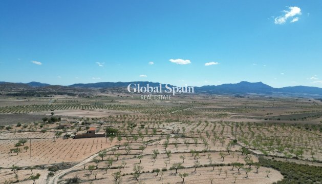 PARCELLE DE TERRAIN - Revente - LA ALBERQUILLA -
                La Alberquila