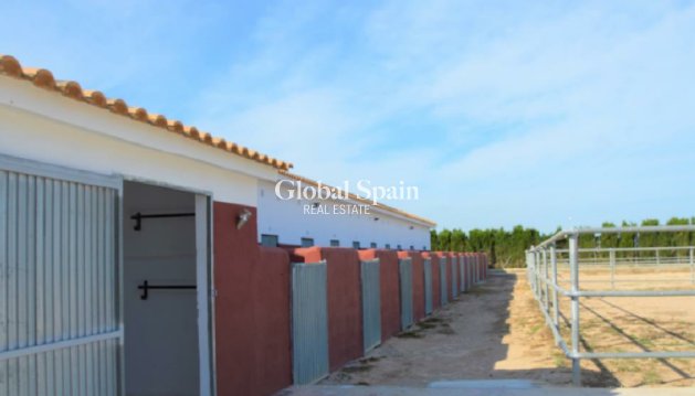 PARCELLE DE TERRAIN - Revente - SAN MIGUEL DE SALINAS -
                Inland