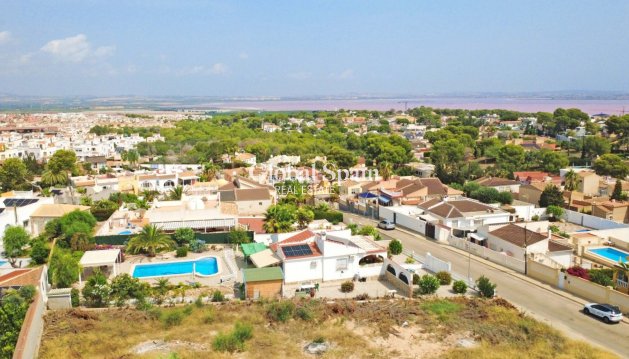 PARCELLE DE TERRAIN - Revente - TORREVIEJA -
                Costa Blanca