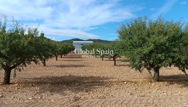 PARCELLE DE TERRAIN - Revente - YECLA -
                Inland