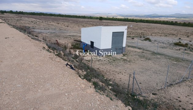 PARCELLE DE TERRAIN - Revente - YECLA -
                Inland