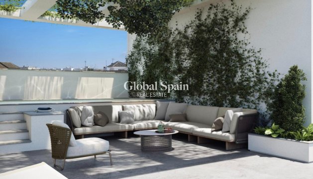 PENTHOUSE - Neubau - TORREVIEJA -
                Playa de El Cura