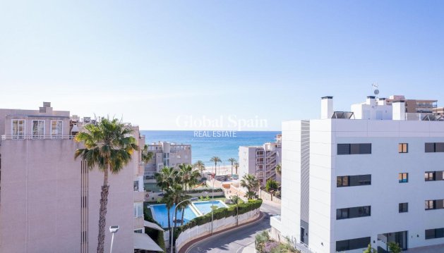 PENTHOUSE - New Build - EL CAMPELLO -
                Muchavista