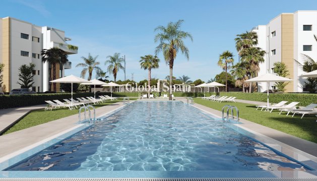 Penthouse - New Build -
                TORRE PACHECO - PS-85636