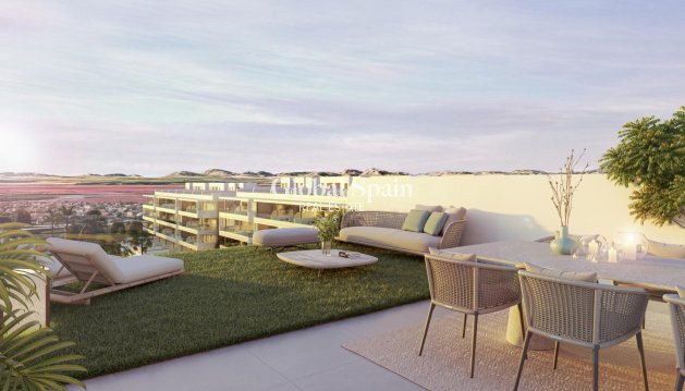 PENTHOUSE - Nieuwbouw -
                TORREVIEJA - SP-79492