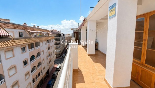 PENTHOUSE - Odsprzedaż - TORREVIEJA -
                Estacion de autobuses