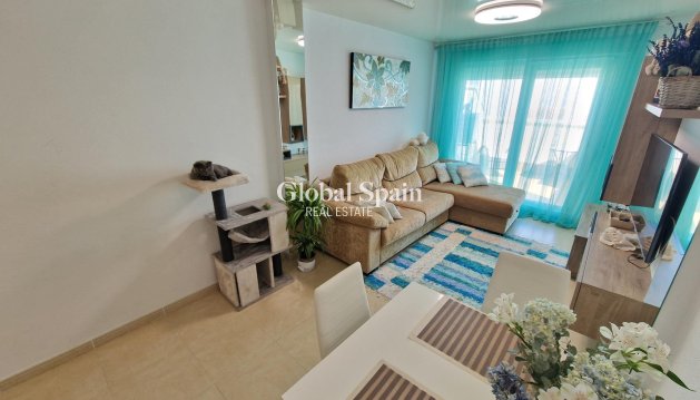 PENTHOUSE - Odsprzedaż - TORREVIEJA -
                Playa de los Locos