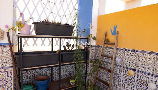 PENTHOUSE - Odsprzedaż - TORREVIEJA -
                