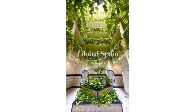 PENTHOUSE - Resale - TORREVIEJA -
                Center