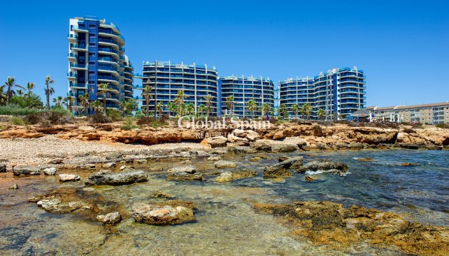 PENTHOUSE - Resale - TORREVIEJA -
                Costa Blanca