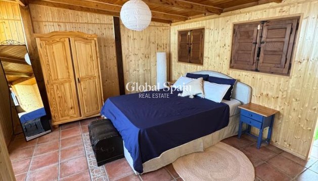 PENTHOUSE - Resale -
                TORREVIEJA - GSR-43831