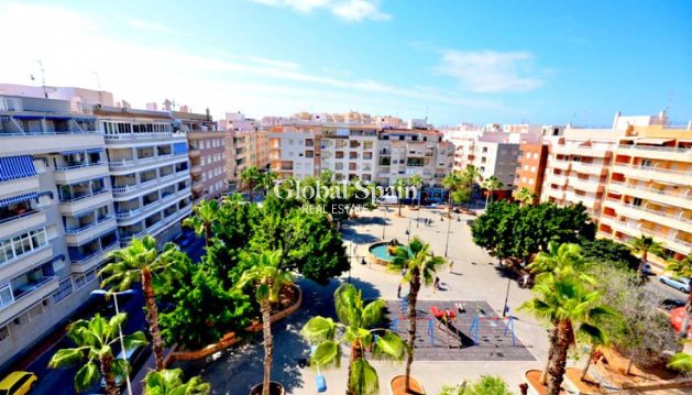 PENTHOUSE - Resale - TORREVIEJA -
                Playa del Cura