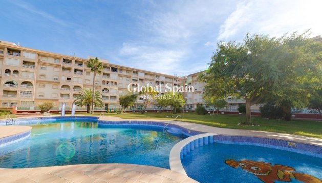 PENTHOUSE - Revente - TORREVIEJA -
                Center