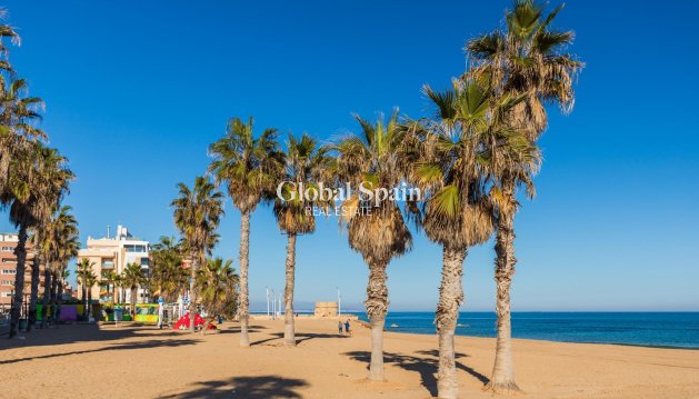 PENTHOUSE - Revente - TORREVIEJA -
                La Mata pueblo