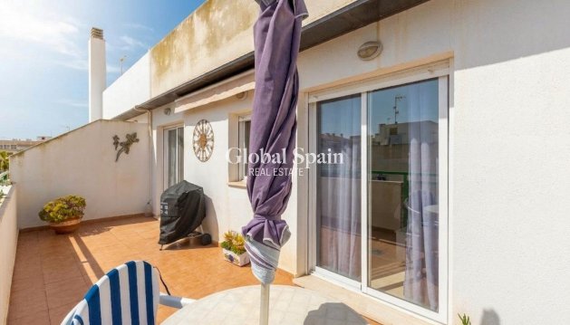 PENTHOUSE - Revente - TORREVIEJA -
                Playa de los locos