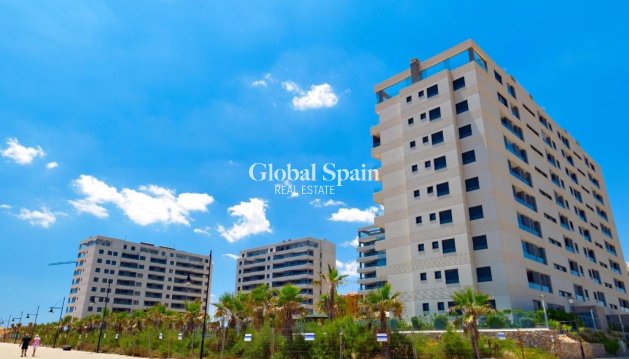 PENTHOUSE - Revente - TORREVIEJA -
                Punta Prima