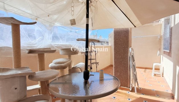 PENTHOUSE - Revente - TORREVIEJA -
                Torrevieja