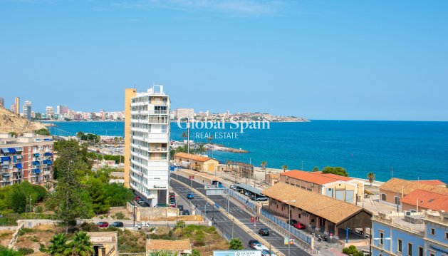 Penthouse - Wederverkoop - ALICANTE -
                Casco antiguo