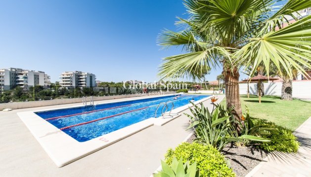 PENTHOUSE - Wederverkoop - ORIHUELA COSTA -
                Costa Blanca