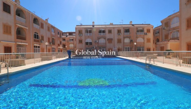 PENTHOUSE - Wederverkoop - TORREVIEJA -
                Acequion