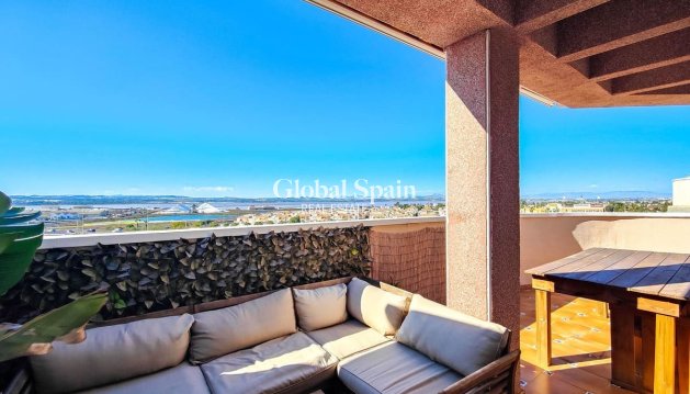 PENTHOUSE - Wederverkoop - TORREVIEJA -
                Costa Blanca
