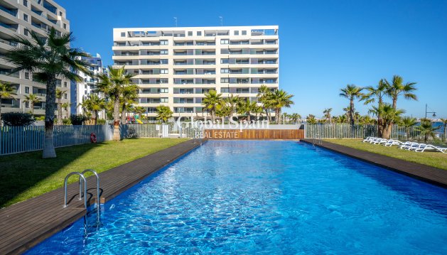 PENTHOUSE - Wederverkoop - TORREVIEJA -
                Costa Blanca