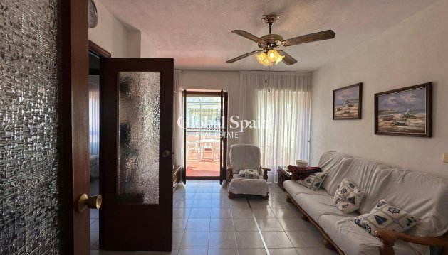 PENTHOUSE - Wederverkoop - TORREVIEJA -
                Estacion de autobuses