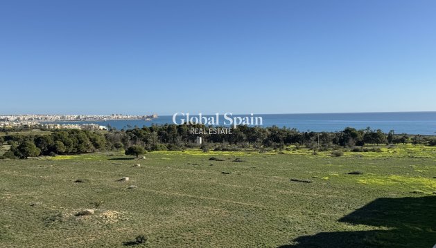 PENTHOUSE - Wiederverkauf - PUNTA PRIMA -
                Costa Blanca