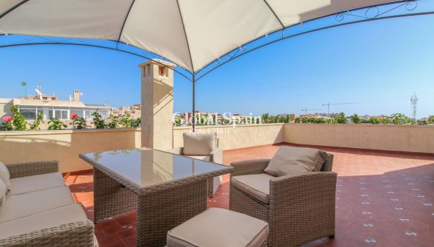 PENTHOUSE - Wiederverkauf - TORREVIEJA -
                Punta Prima