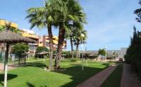перепродажа - Квартира - Orihuela Costa - Playa Flamenca