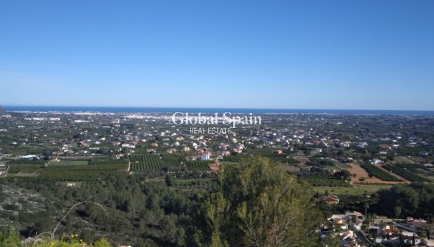 Plot / Land - Resale - Pedreguer -
                Pedreguer