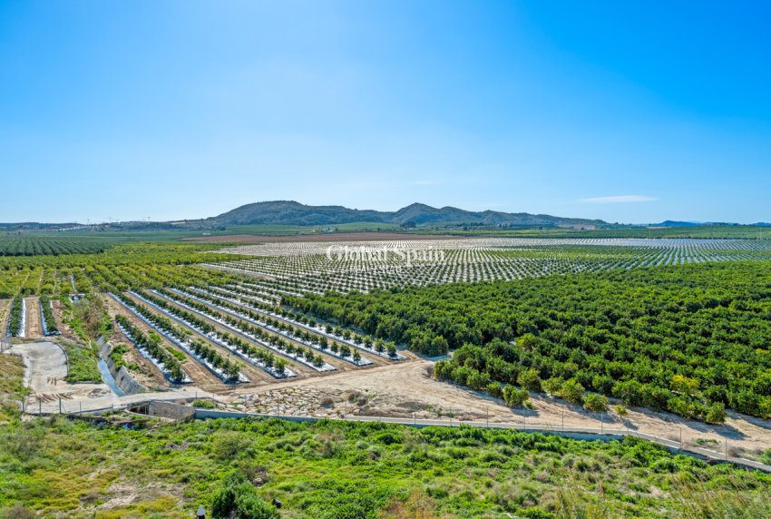 Resale - APARTMENT -
ALGORFA - Inland