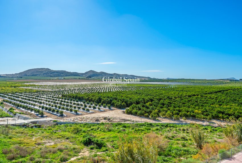 Resale - APARTMENT -
ALGORFA - Inland