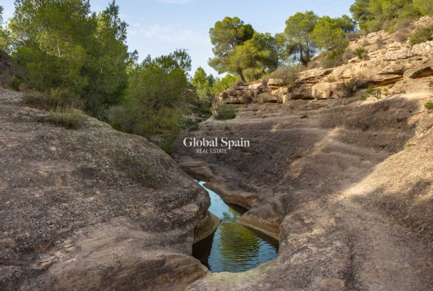 Resale - APARTMENT -
ALGORFA - Inland