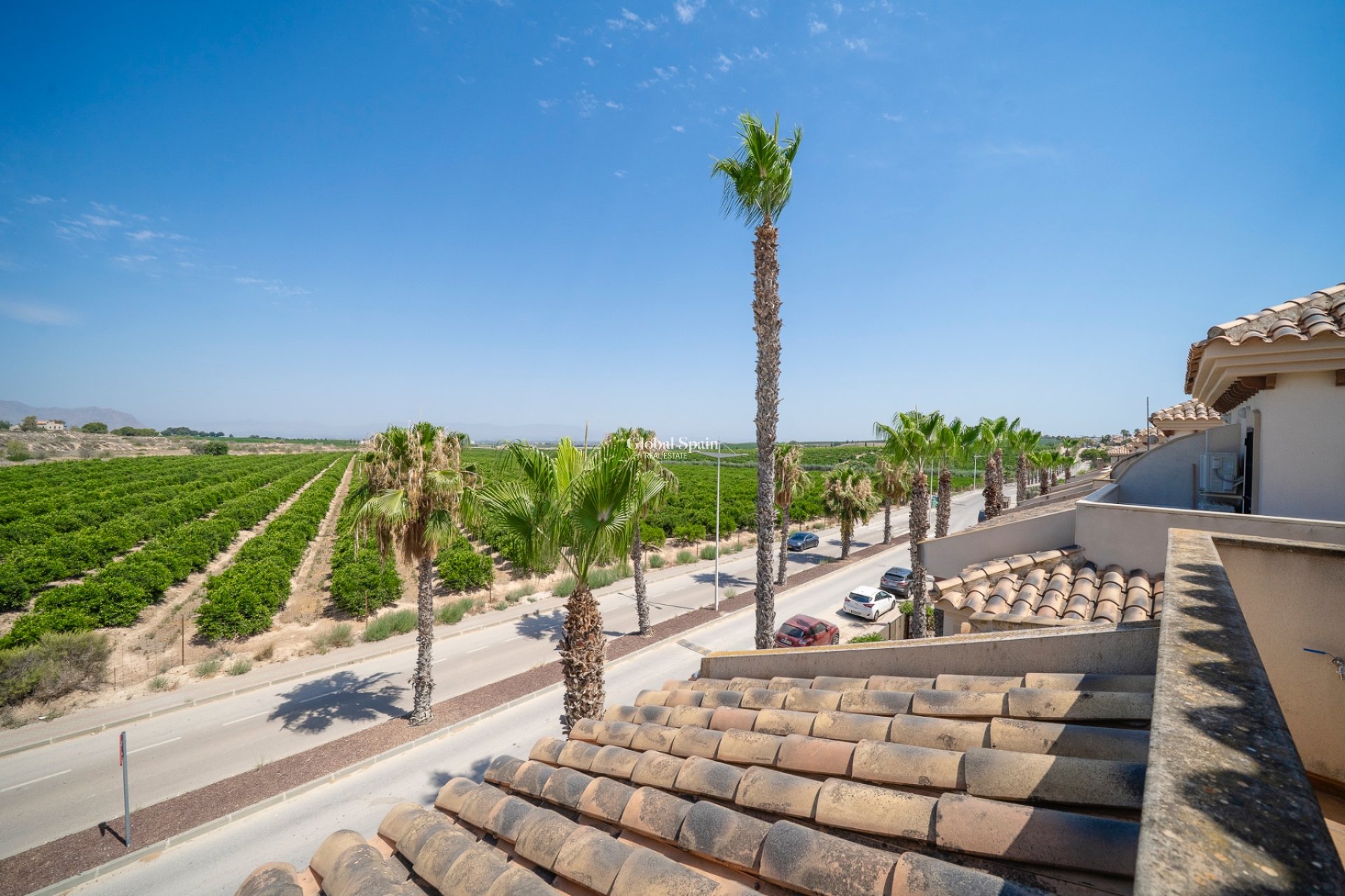 Resale - APARTMENT -
ALGORFA