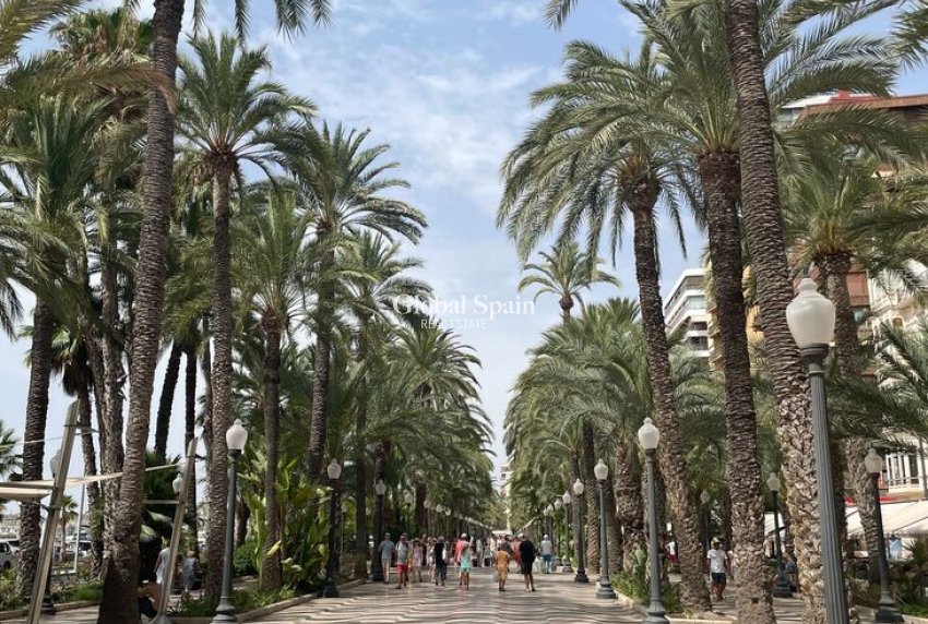 Resale - APARTMENT -
ALICANTE - Costa Blanca