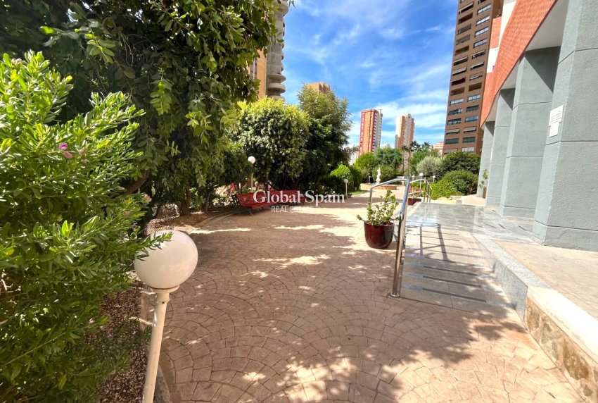 Resale - Apartment -
BENIDORM - Centro