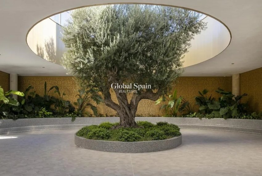 Resale - APARTMENT -
BENIDORM - Costa Blanca