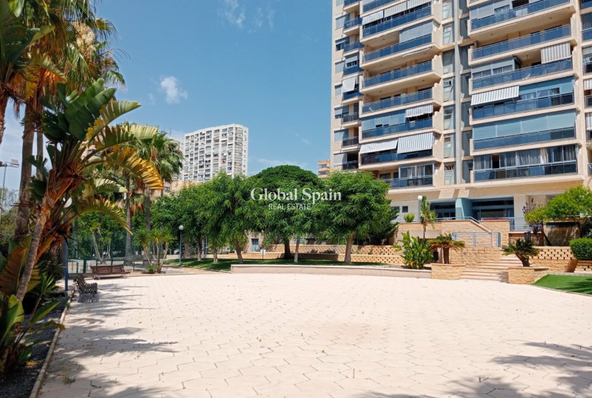 Resale - APARTMENT -
BENIDORM - Levante