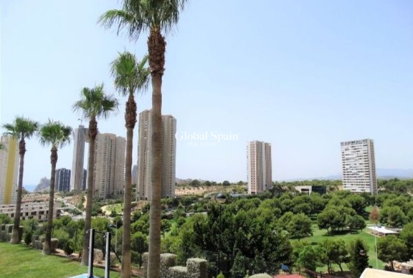 Resale - Apartment -
Benidorm - Zona de Poniente