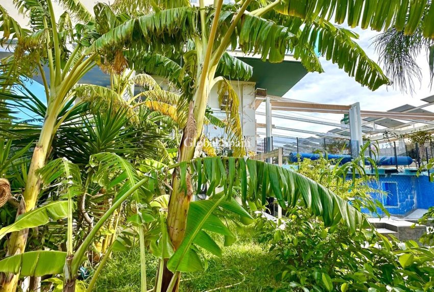 Resale - APARTMENT -
FINESTRAT