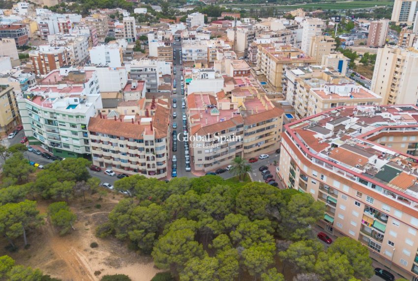Resale - APARTMENT -
GUARDAMAR DEL SEGURA - Centro