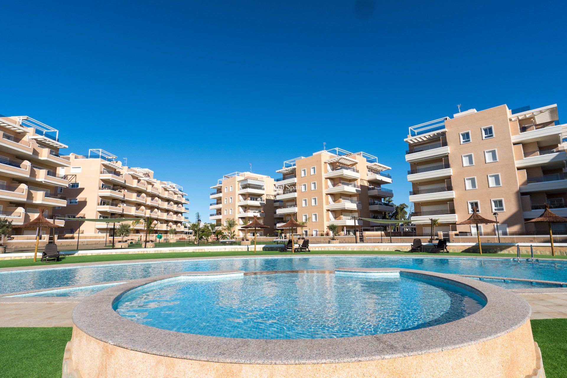 Resale - APARTMENT -
GUARDAMAR DEL SEGURA - El Raso