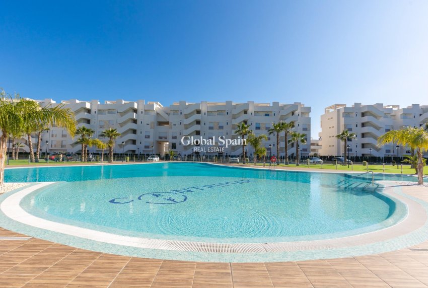 Resale - APARTMENT -
GUARDAMAR DEL SEGURA - EL RASO