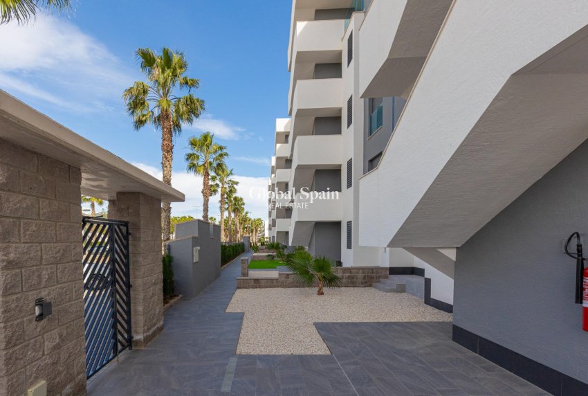 Resale - APARTMENT -
GUARDAMAR DEL SEGURA - EL RASO