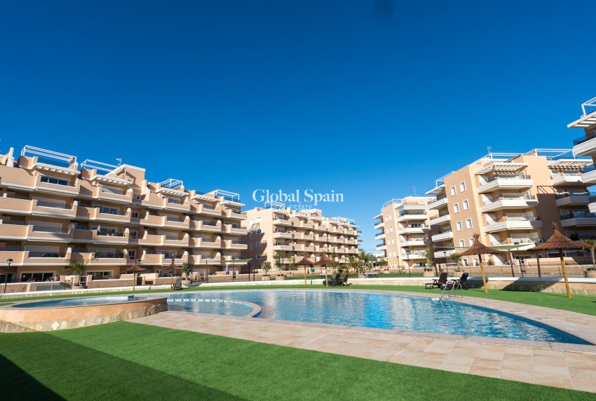 Resale - APARTMENT -
GUARDAMAR DEL SEGURA - El Raso