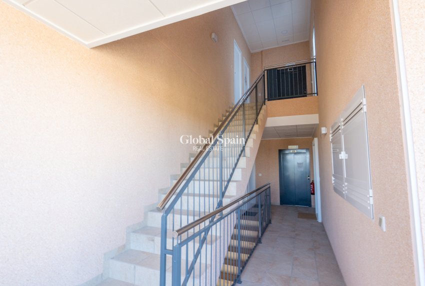 Resale - APARTMENT -
GUARDAMAR DEL SEGURA - El Raso