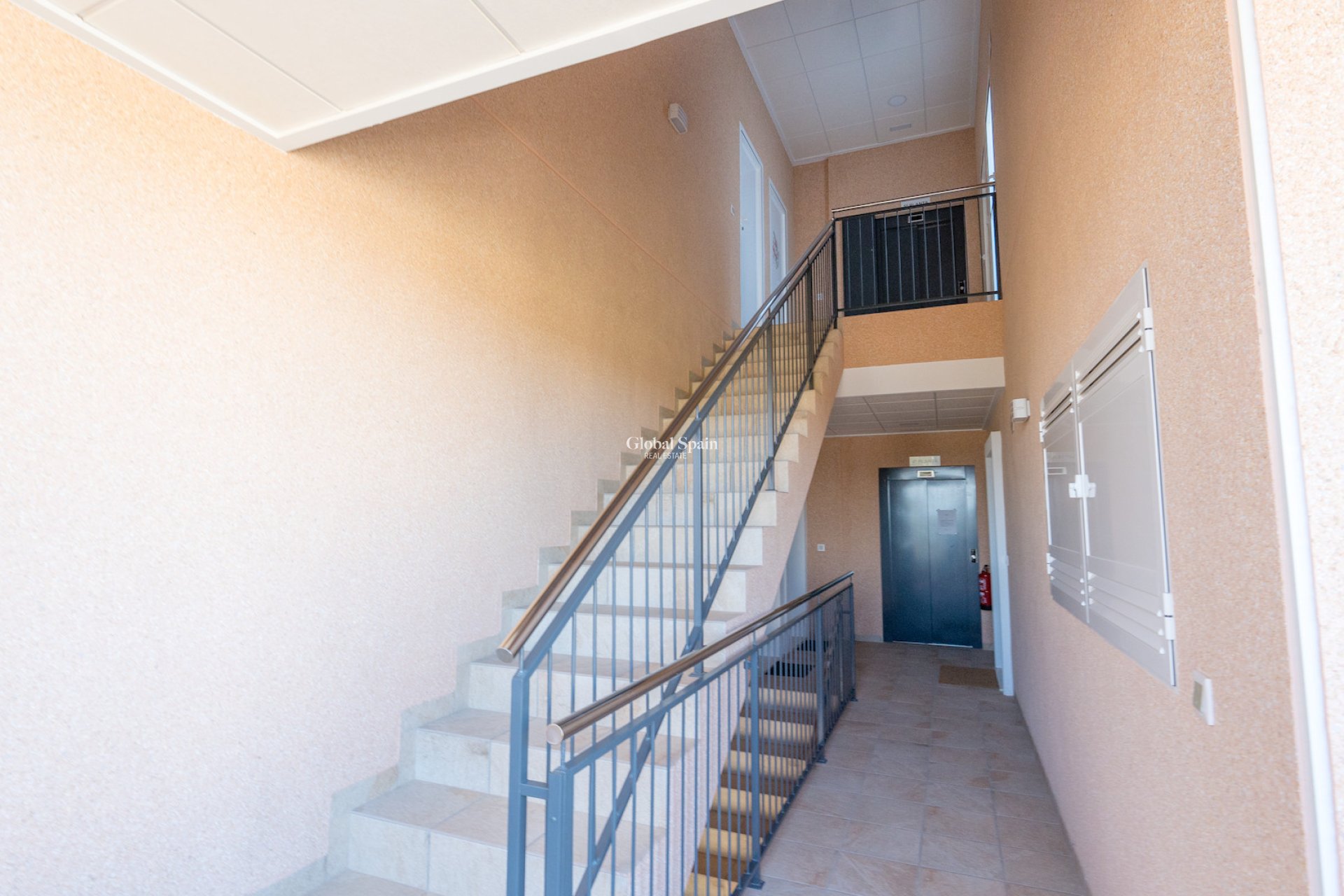 Resale - APARTMENT -
GUARDAMAR DEL SEGURA - El Raso