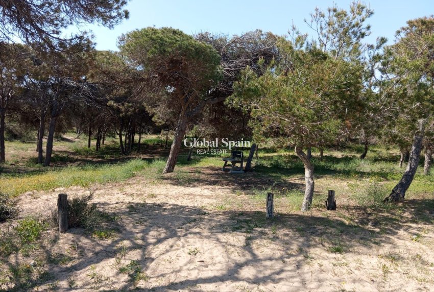 Resale - APARTMENT -
GUARDAMAR DEL SEGURA - Urbanizaciones